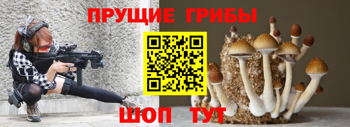 Галлюциногенные грибы MAGIC MUSHROOMS  Вход с VPN  закладки  Тверь  Галлюциногенные грибы прущие грибы 